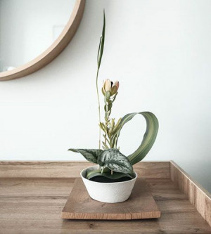 A kitchen to enjoy furnishing any space with the right accessories