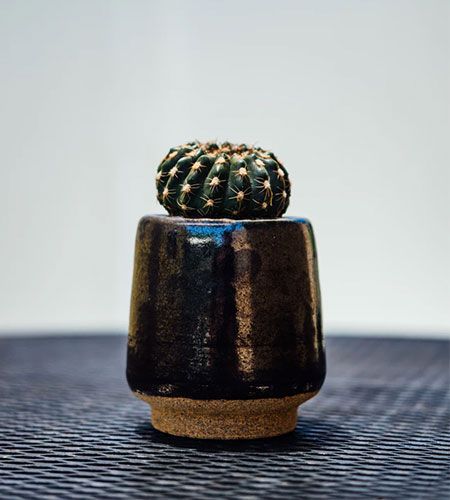 Are you ready to choose your designer lamps online