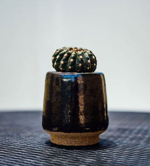 Are you ready to choose your designer lamps online